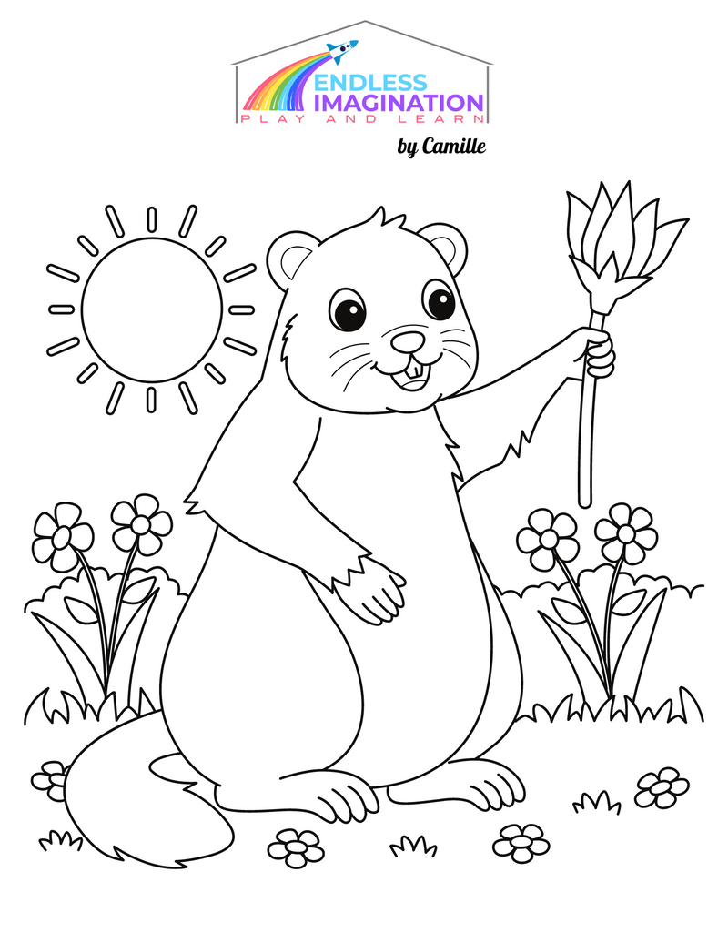 Color the Groundhog