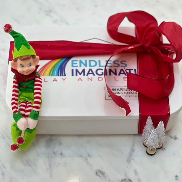 Educational Elf Kit (Elf included)