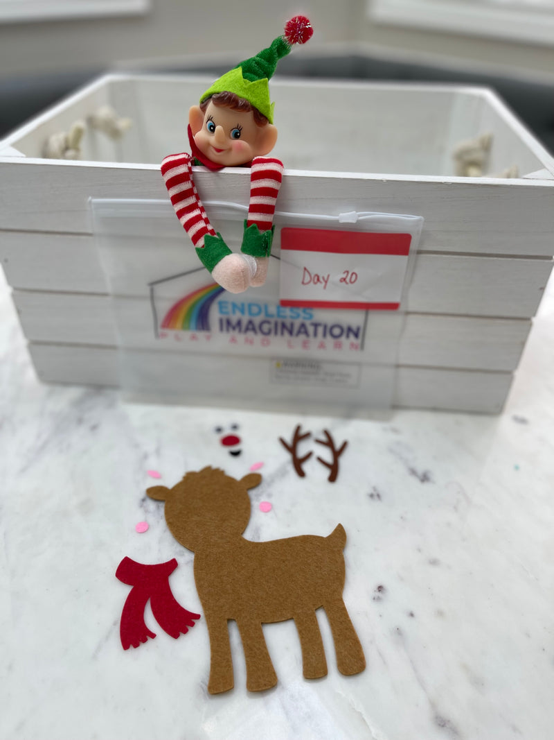 Educational Elf Kit (Elf included)